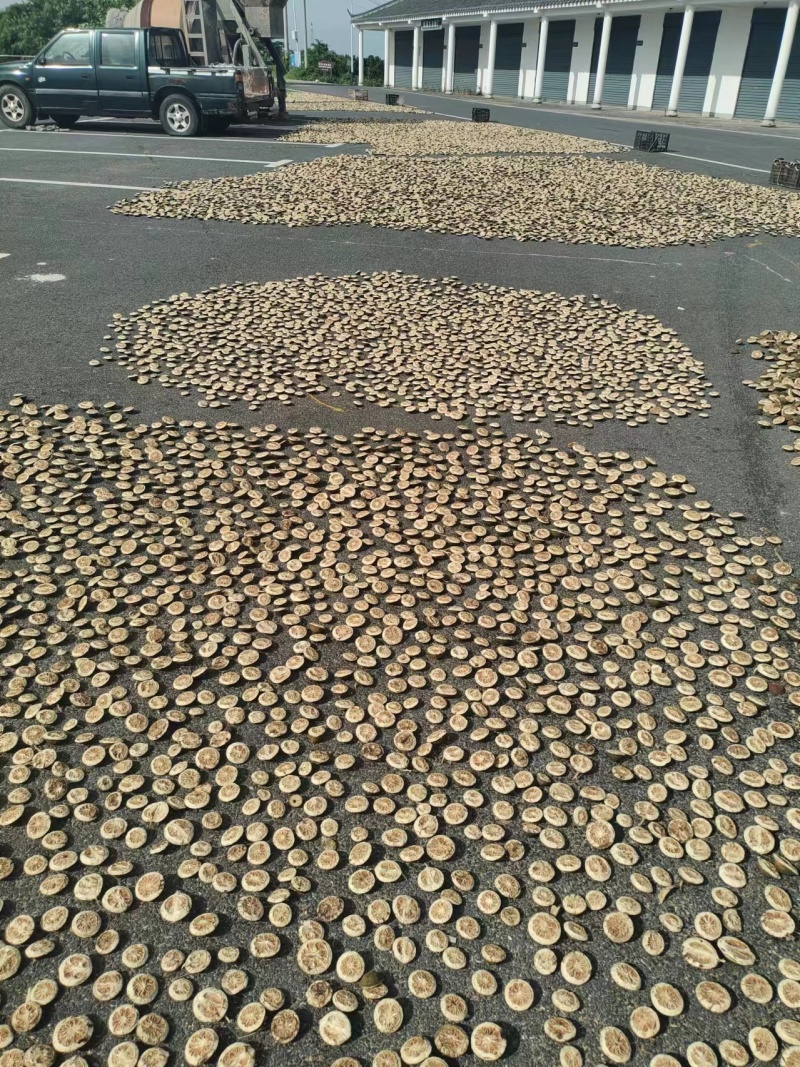 江西枳壳中草药优质产品，大量上市欢迎电话联系洽谈