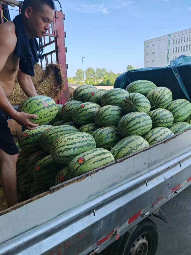 精品硒砂瓜石头瓜大量现货对接全国欢迎电联