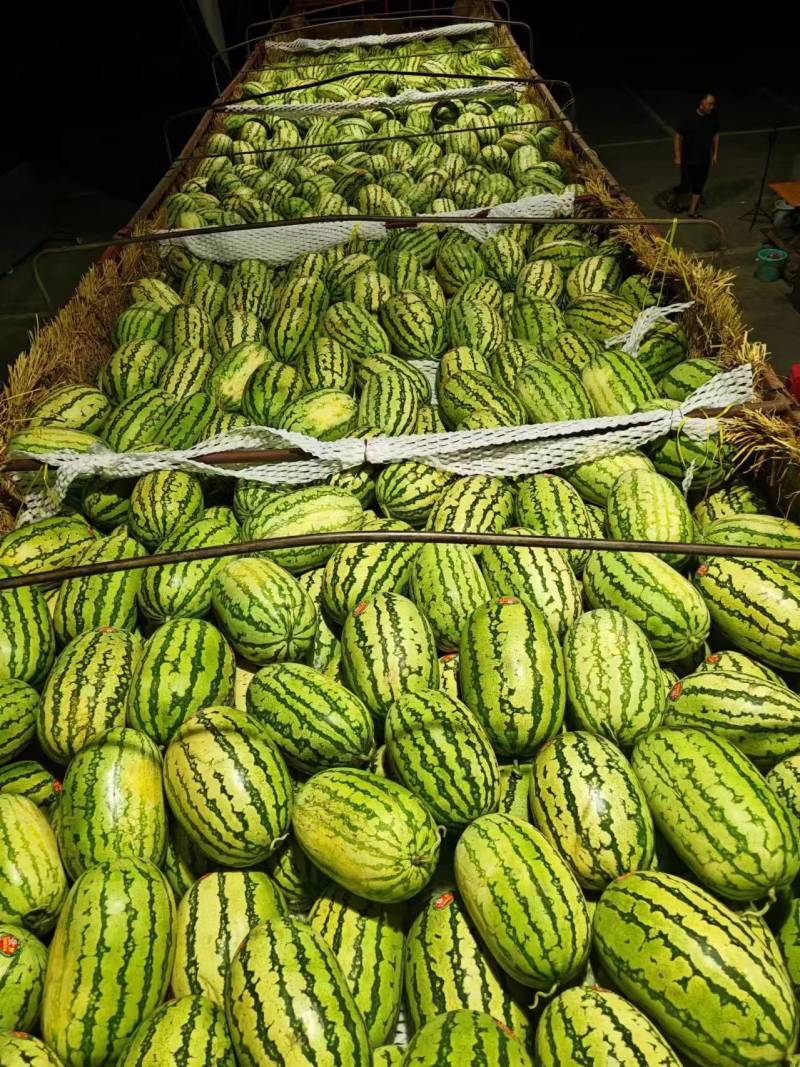 精品硒砂瓜石头瓜大量现货对接全国欢迎电联