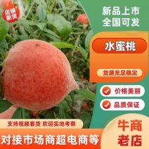 大棚水蜜桃，支持电商货源充足，万亩大棚种植，质量保证，。