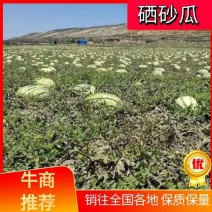 宁夏西瓜硒砂瓜大量上市石头瓜价格便宜