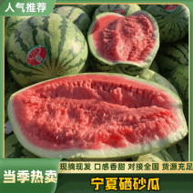 宁夏硒砂瓜，金城西瓜，金花西瓜，双红瓤，大量有货代发全国