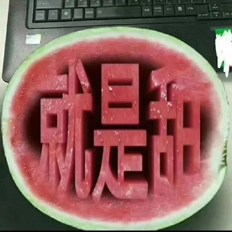 精品美都西瓜高次，产地直发量大质量保证欢迎咨询