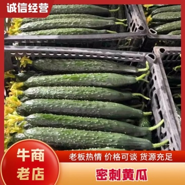 【精品密刺黄瓜】货源充足价格优惠，全国可发货
