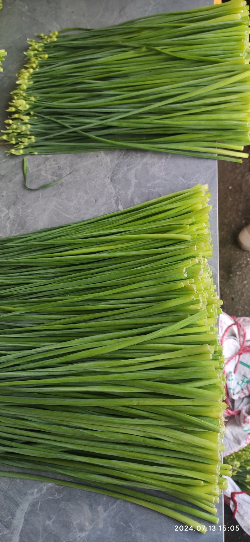 广西荔浦韭苔大量上市产地直发品质保障欢迎咨询联系