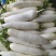 （推荐·）萝卜保质保量十吨起批全国发货量大价优电联