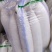（推荐·）萝卜保质保量十吨起批全国发货量大价优电联