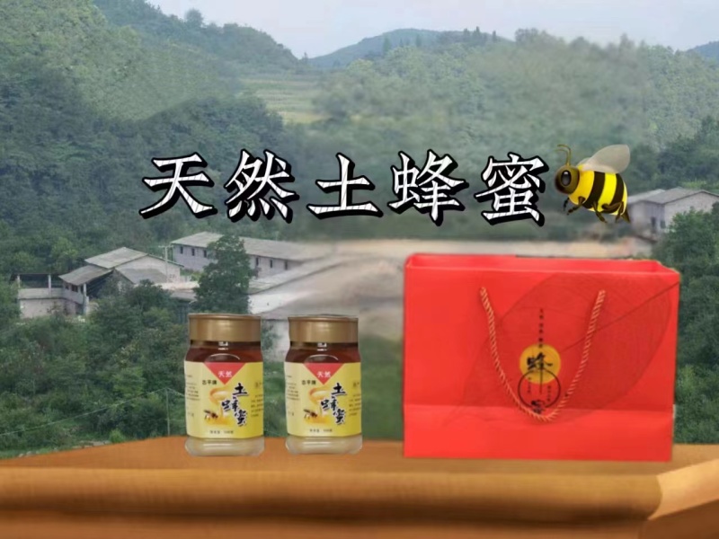 土蜂蜜产地直发欢迎各位老板联系对接全国量大从优