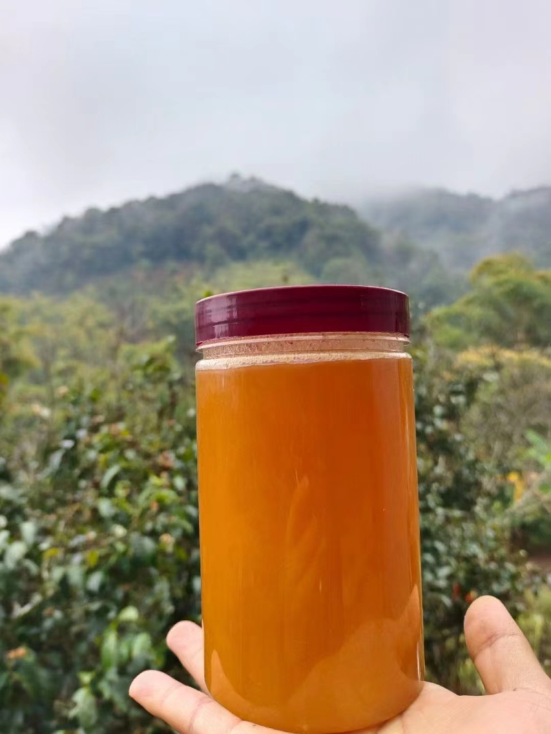 野生土蜂蜜对接全国可视频看货欢迎各地老板联系咨询