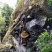 野生土蜂蜜对接全国可视频看货欢迎各地老板联系咨询
