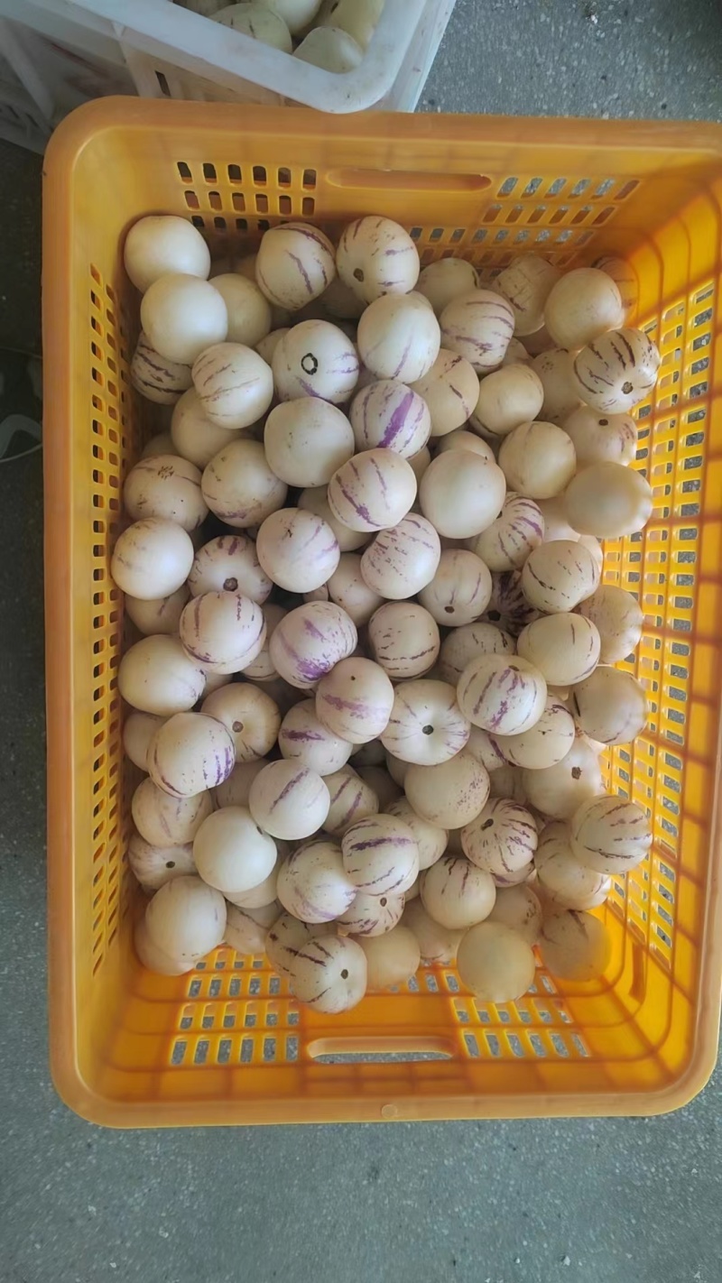 云南人参果云南产区一手货源清甜可口当季现摘保质保量