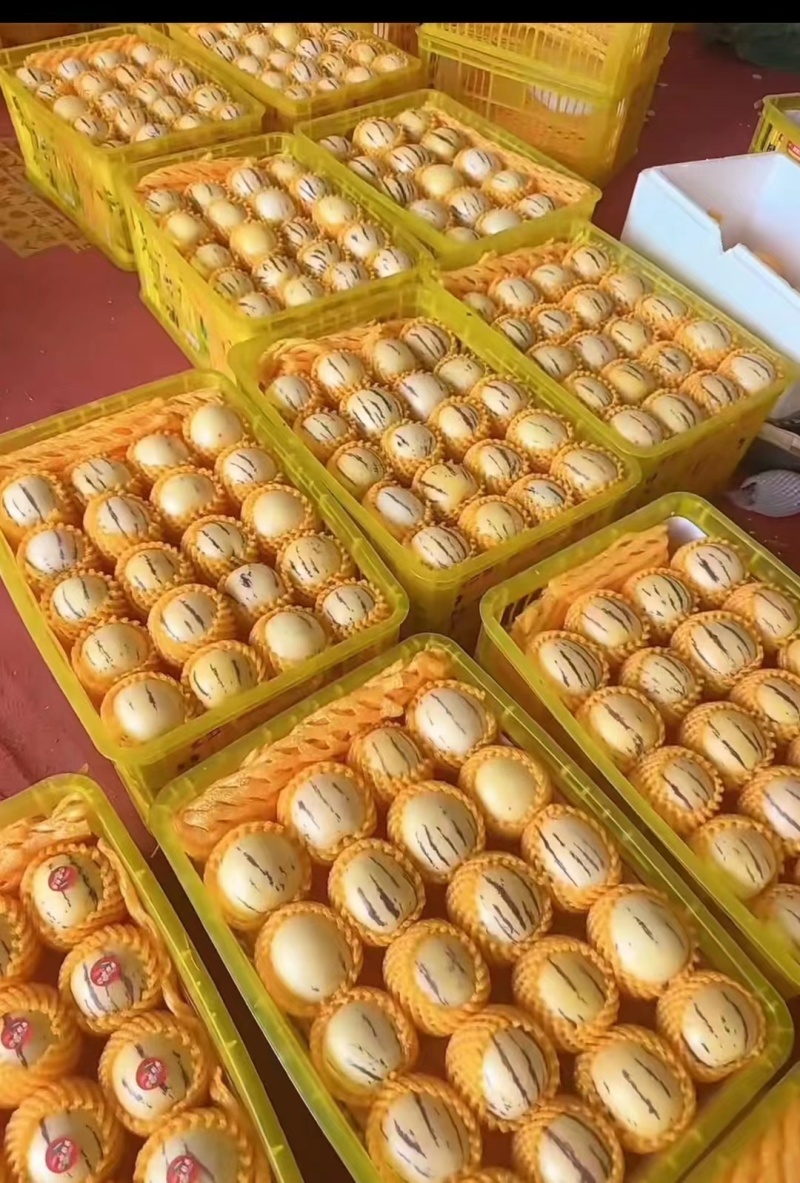云南人参果云南产区一手货源清甜可口当季现摘保质保量