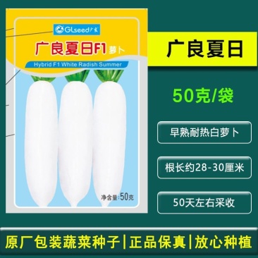 [标题]广良夏日萝卜种子耐热杂交夏萝卜熟50天白皮萝卜
