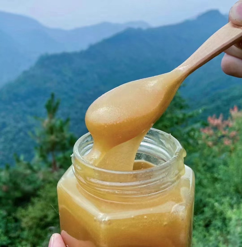 土蜂蜜产地直发欢迎各位老板联系对接全国量大从优