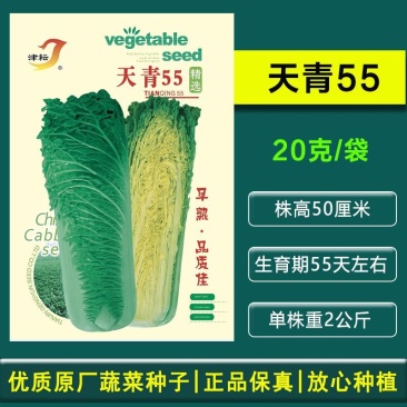 天青55青麻叶大白菜种子早熟直筒单株2公斤心叶黄色