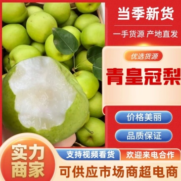梨，光果青皮皇冠梨，量大货源充足，一手货源，产地直供，
