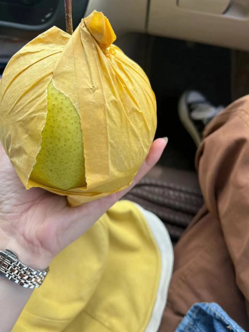 【优选】云南梨子雪花梨-产地直发-诚信经营-价格优惠