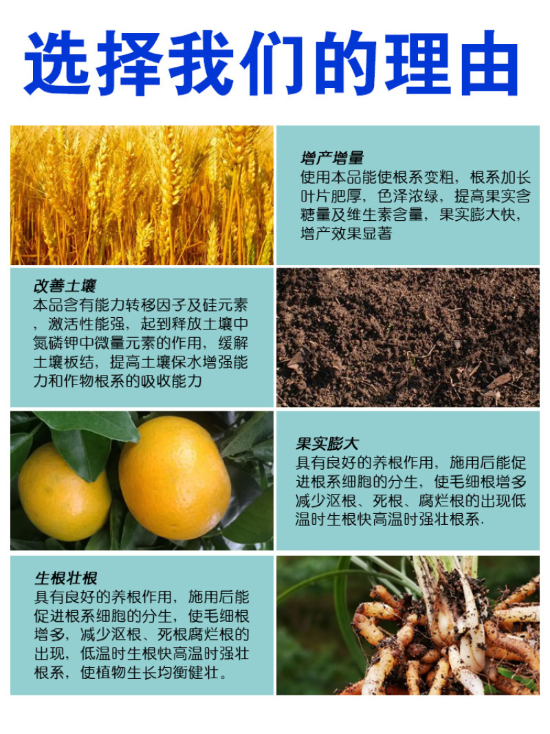 多肽鱼蛋白强力酶解发酵肥微生物菌剂浓缩氨基酸水溶肥植物通