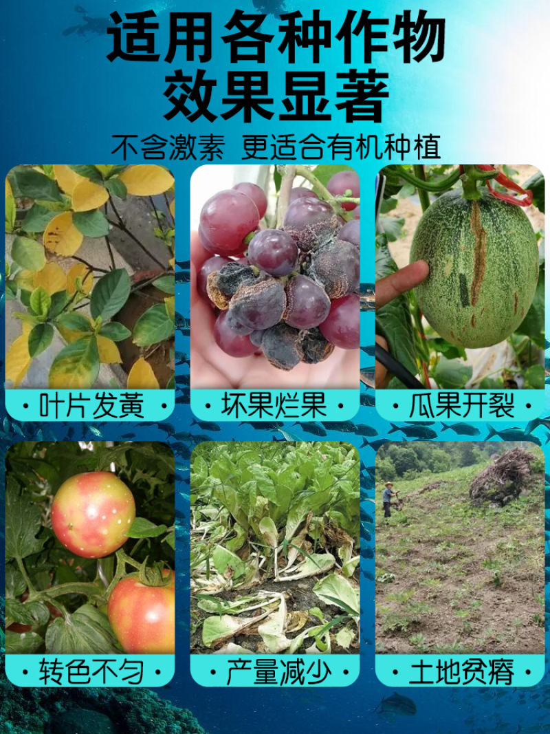 多肽鱼蛋白强力酶解发酵肥微生物菌剂浓缩氨基酸水溶肥植物通