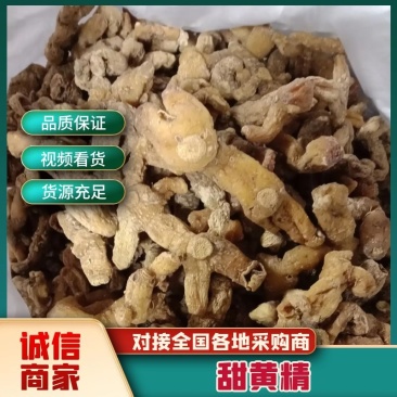 湖南多花甜黄精，原生太无硫***质量保证欢迎咨询