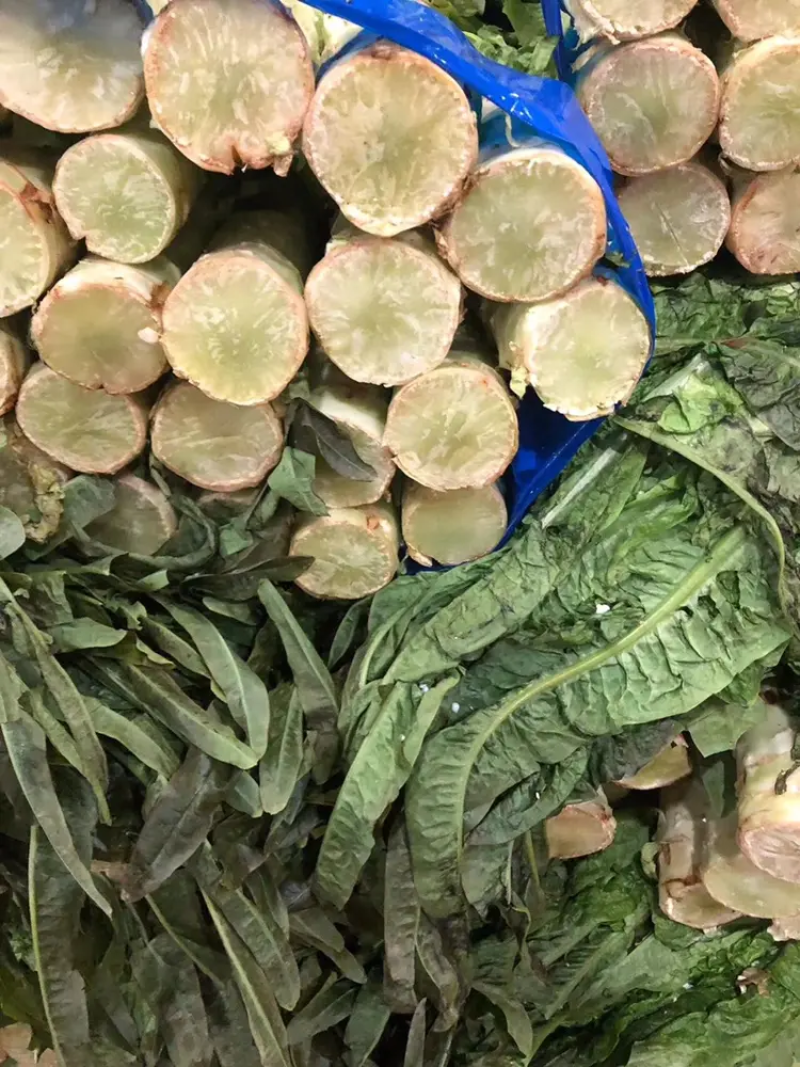 精品莴笋青笋产地直发莴苣品质保证欢迎咨询合作