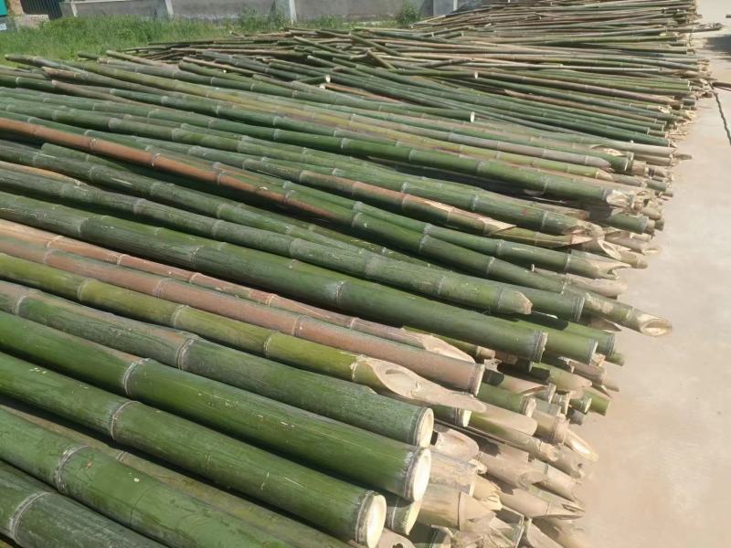 精品竹竿竹子蔬菜竹架支撑竹竿产地直发对接全国