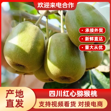 红心猕猴桃，各规格齐全一手资源，欢迎商超，外贸合作