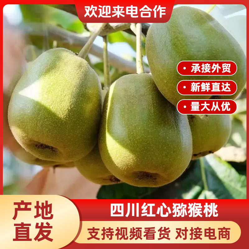 红心猕猴桃，各规格齐全一手资源，欢迎商超，外贸合作