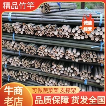 精品竹竿竹子蔬菜竹架支撑竹竿产地直发对接全国