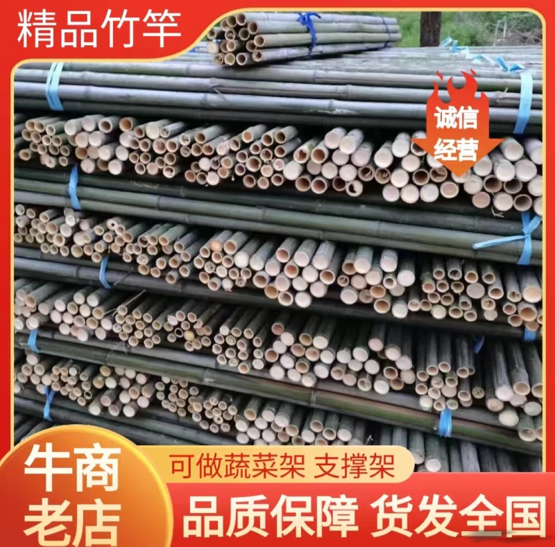 精品竹竿竹子蔬菜竹架支撑竹竿产地直发对接全国