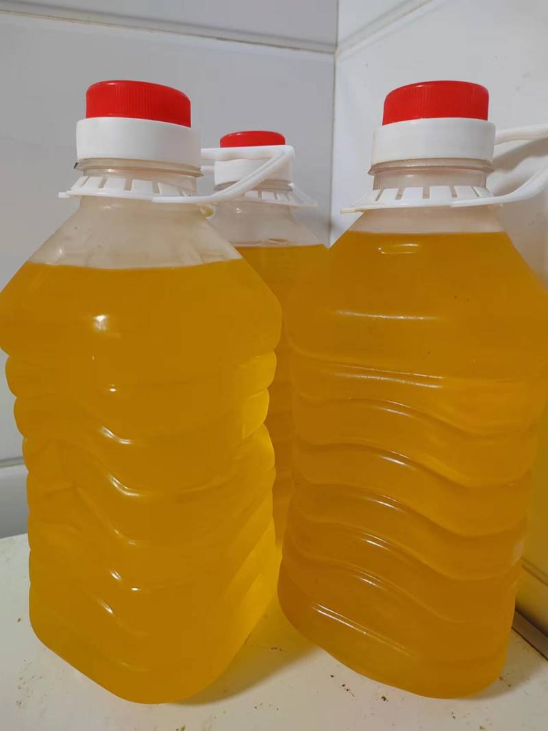 新疆自榨葵花籽油好吃不腻手工制作产地直发可视频看货