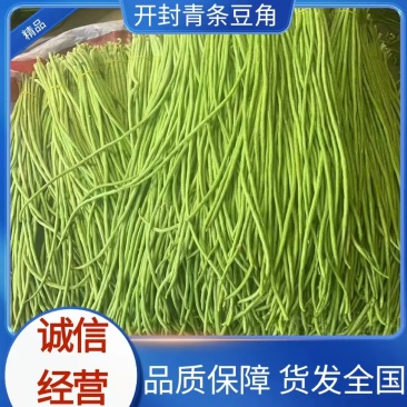 精品开封青条豆角品质保障农户现摘产地直发量大从优