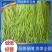精品开封青条豆角品质保障农户现摘产地直发量大从优