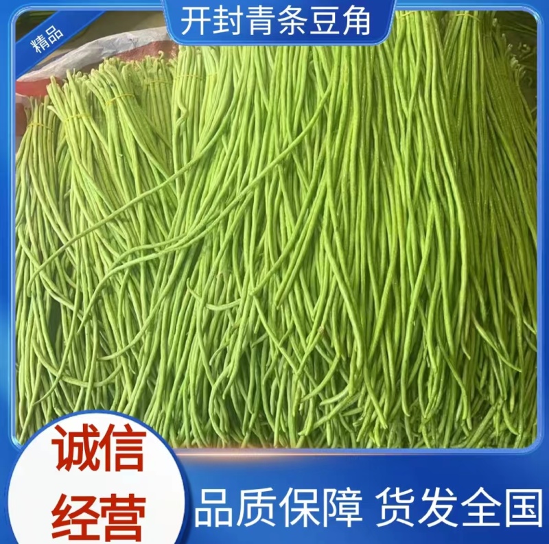 精品开封青条豆角品质保障农户现摘产地直发量大从优
