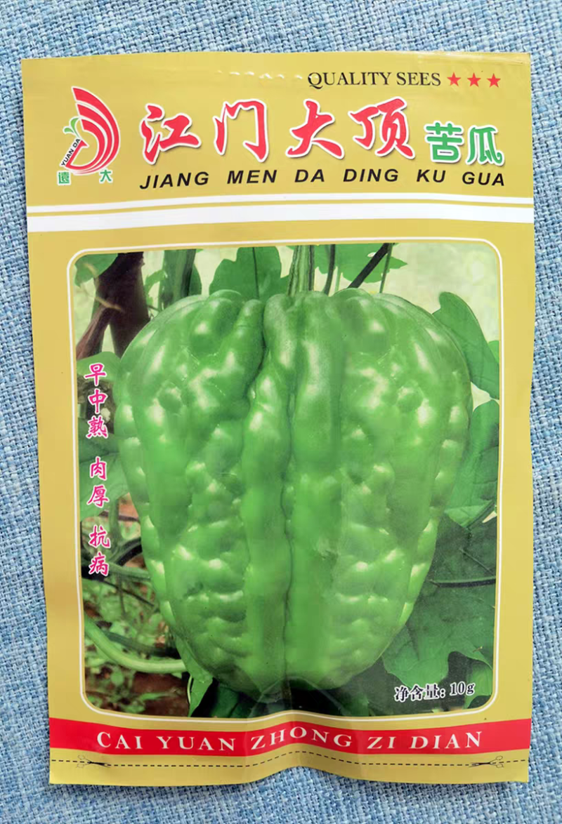 江门大顶苦瓜种子早中熟条瘤粗直肉厚味苦带甘甜