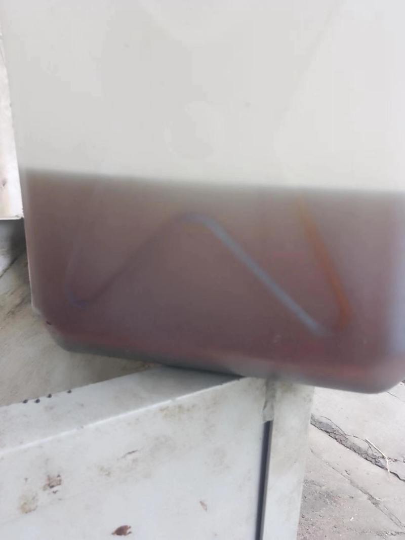 瑚北郧西本地莱籽油品质保证质量可靠欢迎订购量大从优