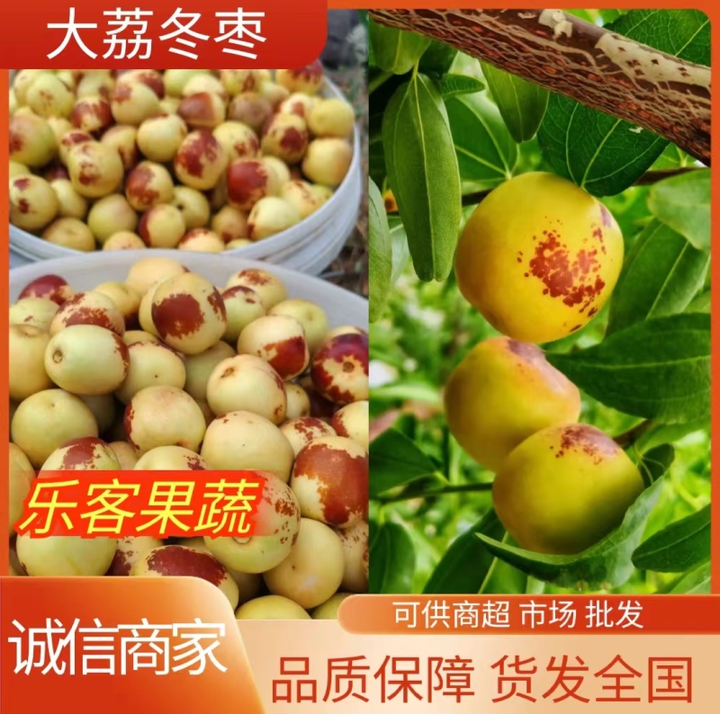 大荔冬枣品质保障现摘现发货源充足可供商超市场批发