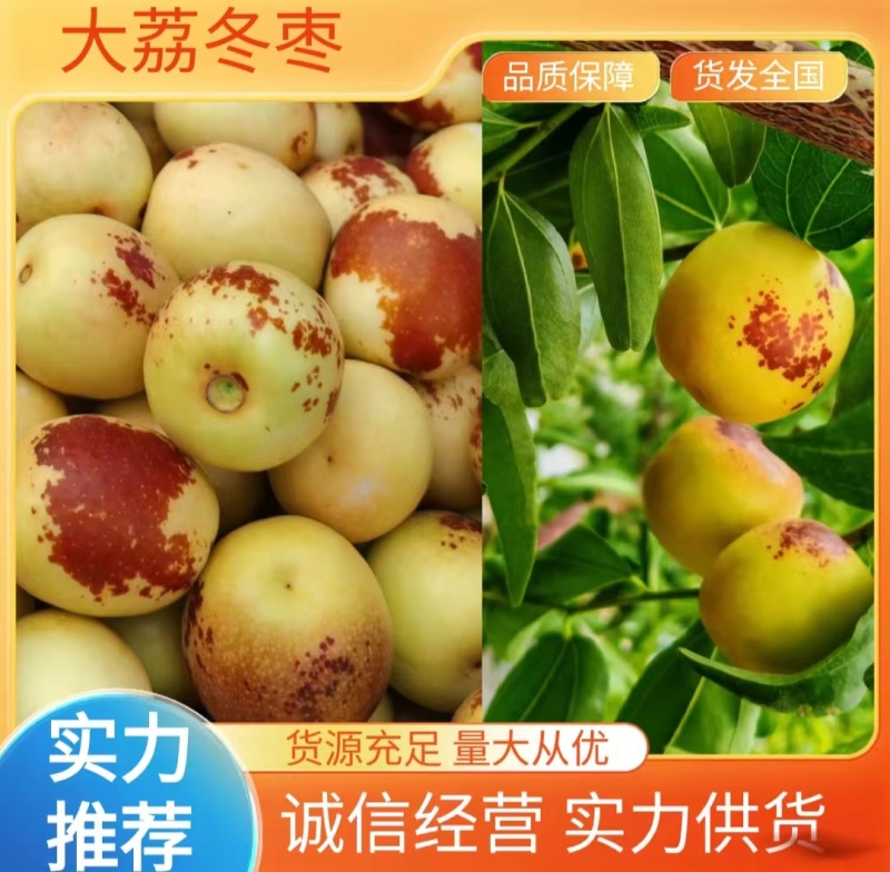 陕西大荔冬枣品质好个头大脆甜可远程看货欢迎联系