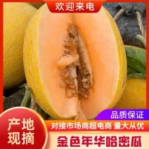 内蒙古产地直发哈密瓜金色年华团队可靠信誉度高值得老板信赖