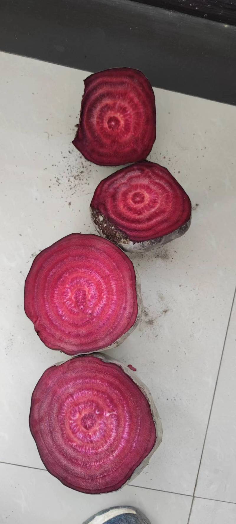 脱水甜菜粒