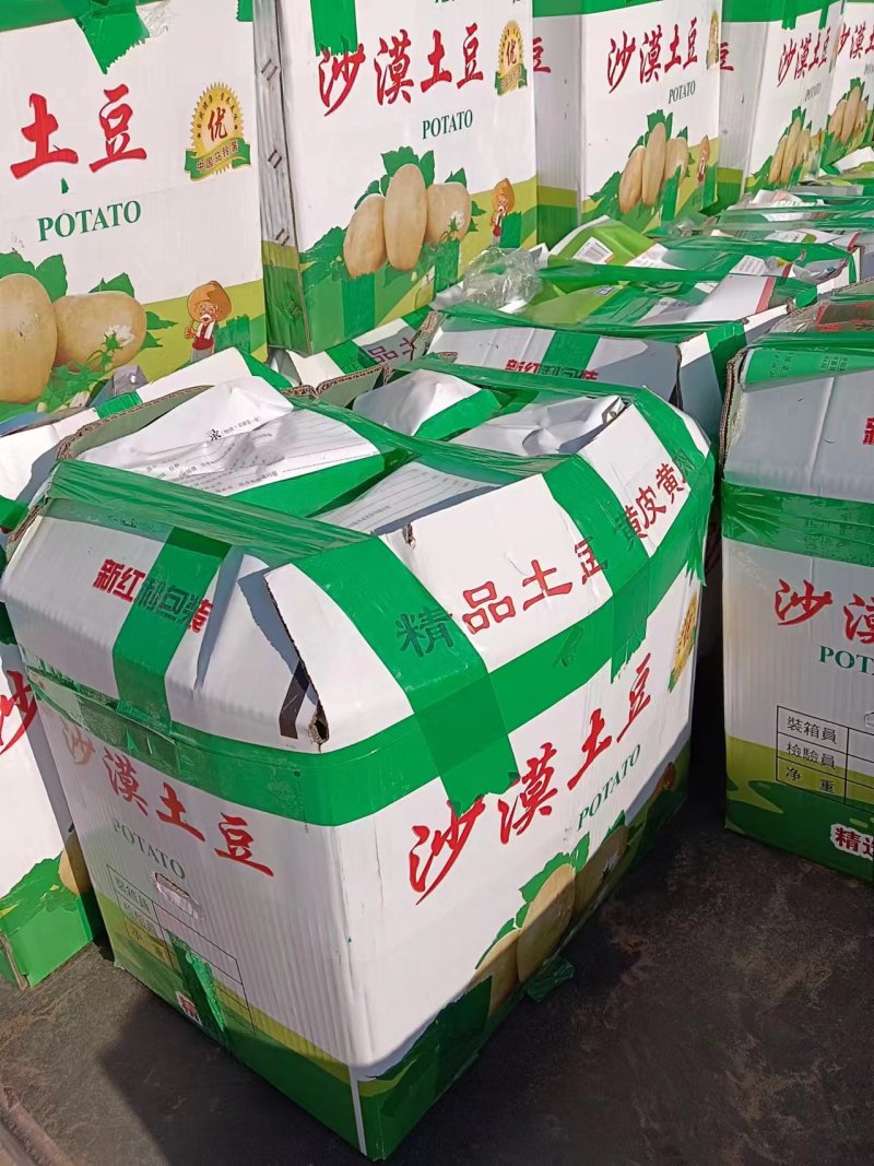 土豆沃土5号陕西沃土土豆大量供应对接全国市场电商