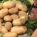 土豆V7土豆陕西v7土豆大量供应对接全国市场