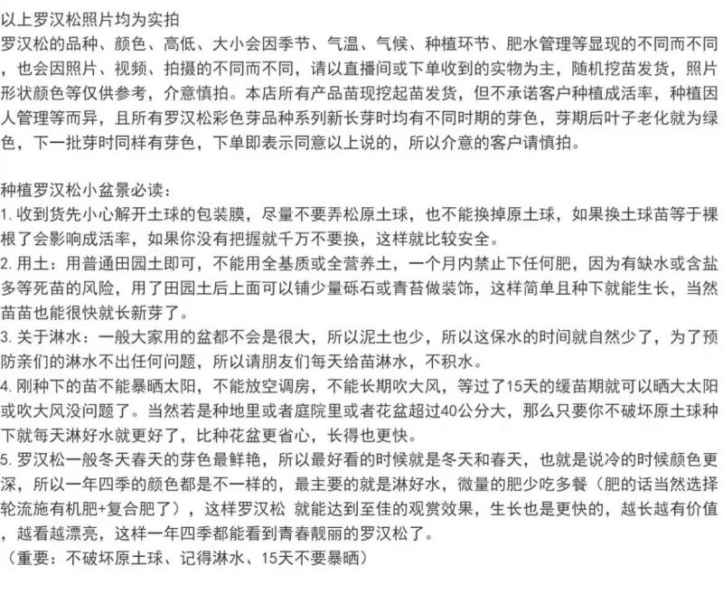 小叶雀舌罗汉松四季常绿室内外庭院小盆栽绿植园艺盆景造型树