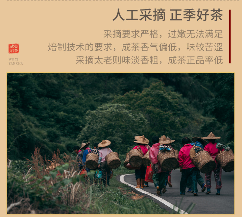 武夷岩茶正岩水仙兰底花香茶叶中轻火碳焙老枞水仙善