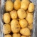 河北土豆V7土豆（大量现货）现挖现发可视频看货对接全国