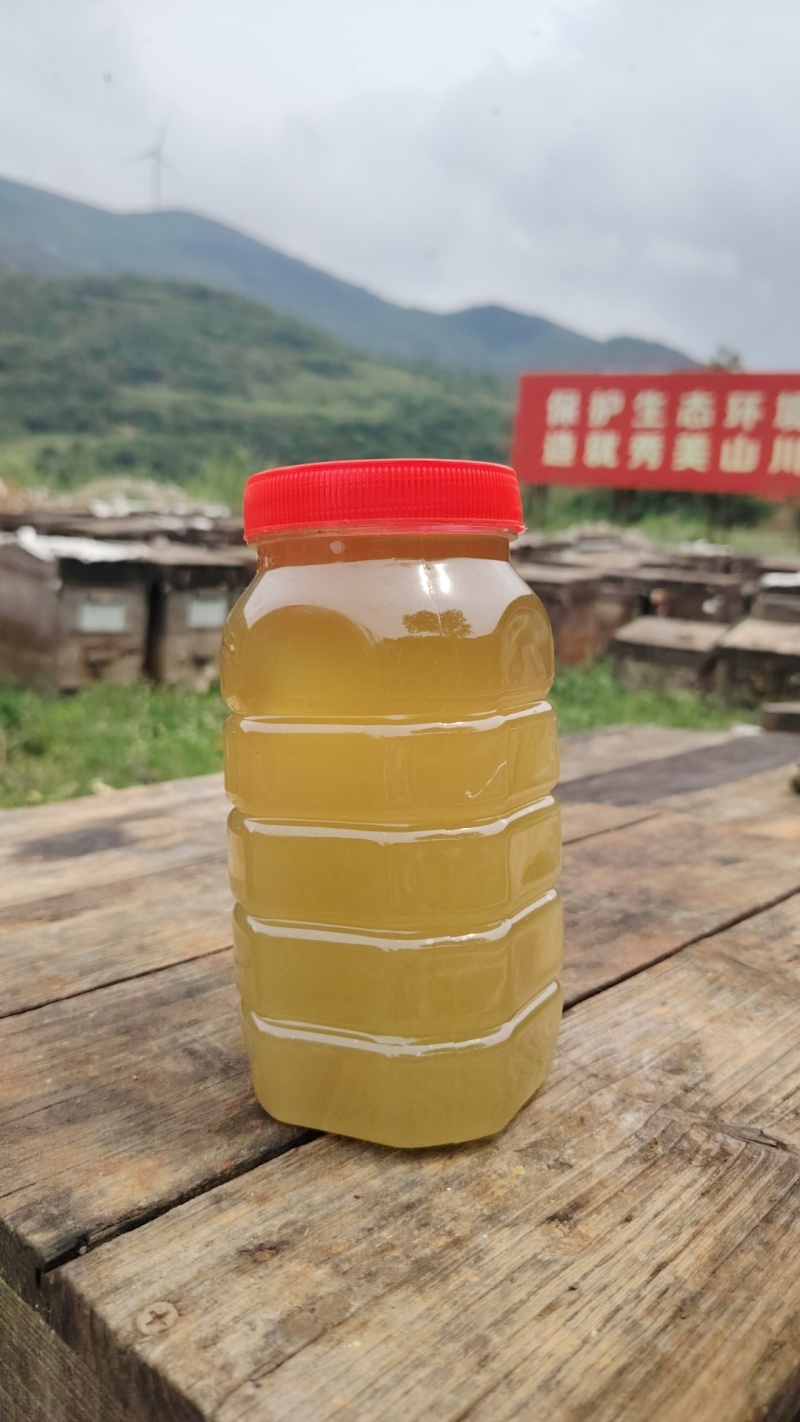 云南生态养殖蜂蜜全国发货保质保量长期供应