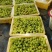 新疆葡萄新疆无核白大量供应中产地直发量大优惠