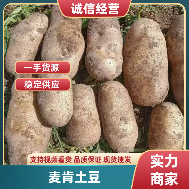 麦肯，大西洋土豆大量上市全国发货品质保证可视频看
