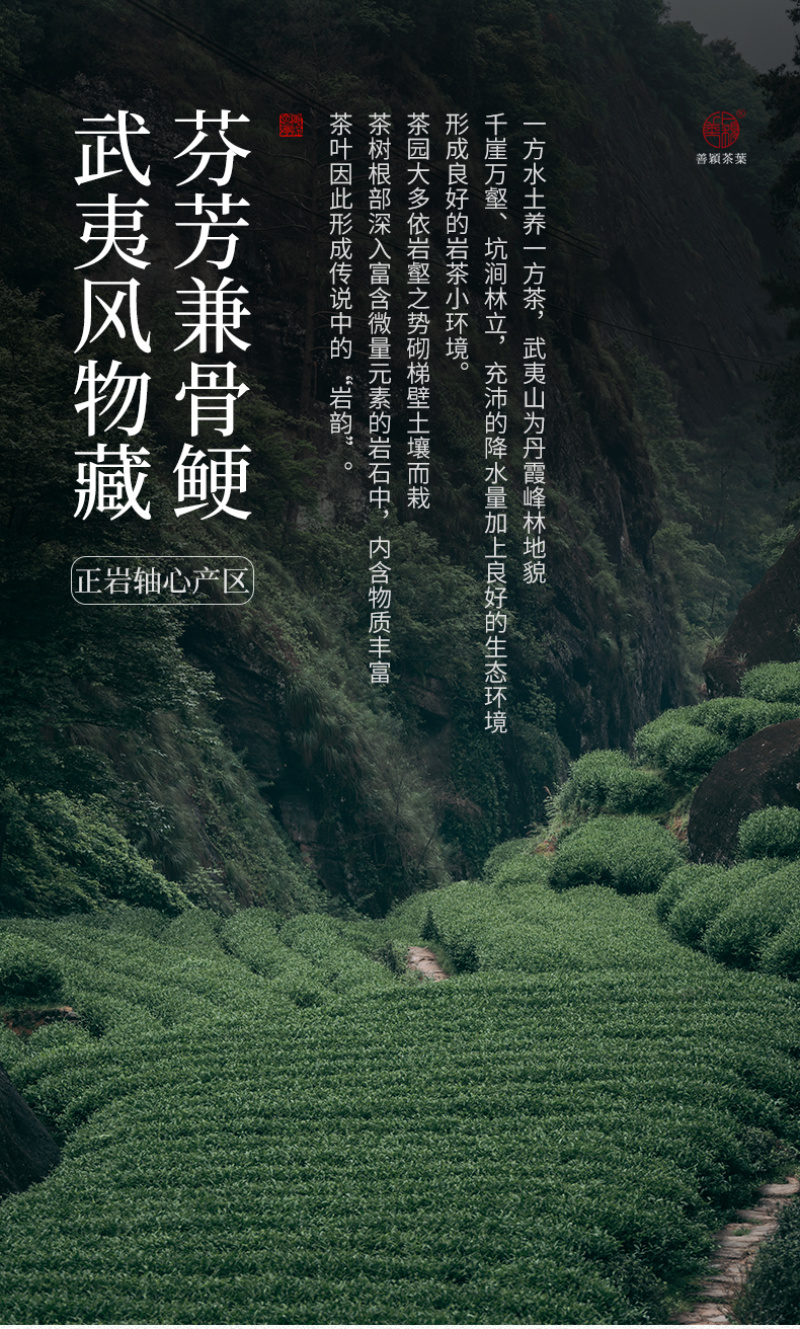 武夷岩茶正岩肉桂花果桂香坑涧特级善颖尊享品鉴装手工茶