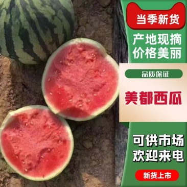 1️⃣美都麒麟8424质量三包基地直发全国